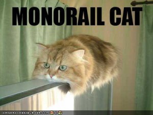 Monorail cat